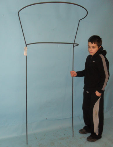 Rose / Plant supports